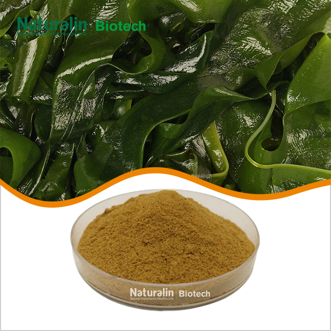 Kelp Extract Kelp Extract